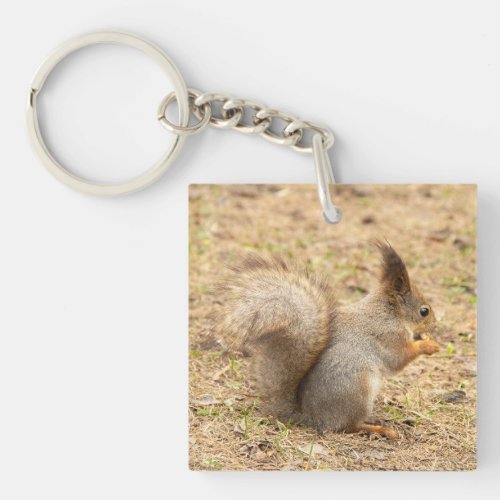 Cute squirrel eats a nut photo keychain
