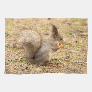 Cute squirrel eats a nut photo kitchen towel