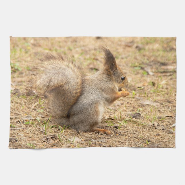 Cute squirrel eats a nut photo kitchen towel (Horizontal)