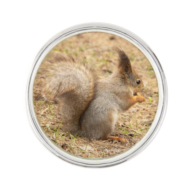 Cute squirrel eats a nut photo lapel pin (Front)