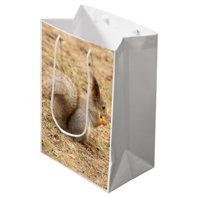 Cute squirrel eats a nut photo medium gift bag (Front Angled)
