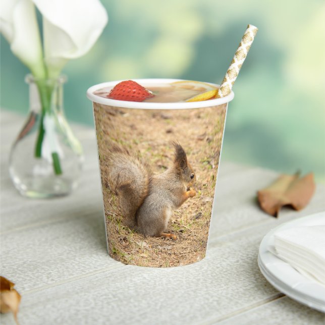 Cute squirrel eats a nut photo paper cups (Insitu)