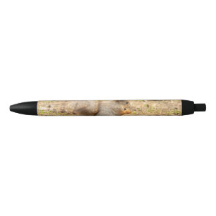 Cute squirrel eats a nut photo pen