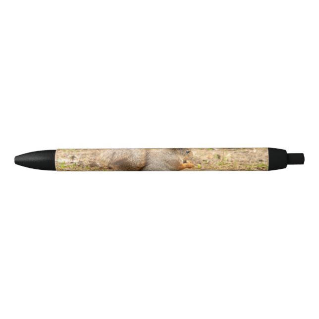 Cute squirrel eats a nut photo pen (Front)