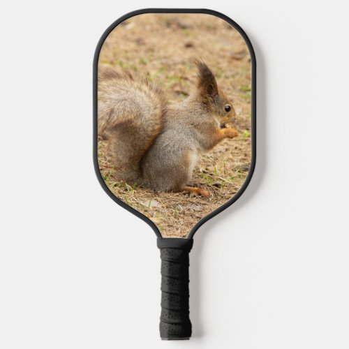 Cute squirrel eats a nut photo pickleball paddle