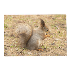 Cute squirrel eats a nut photo placemat