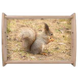 Cute squirrel eats a nut photo serving tray