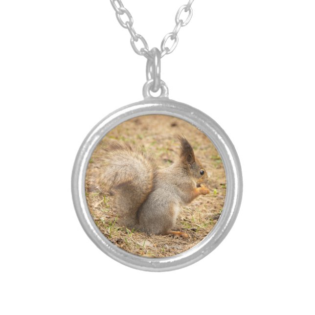 Cute squirrel eats a nut photo silver plated necklace (Front)