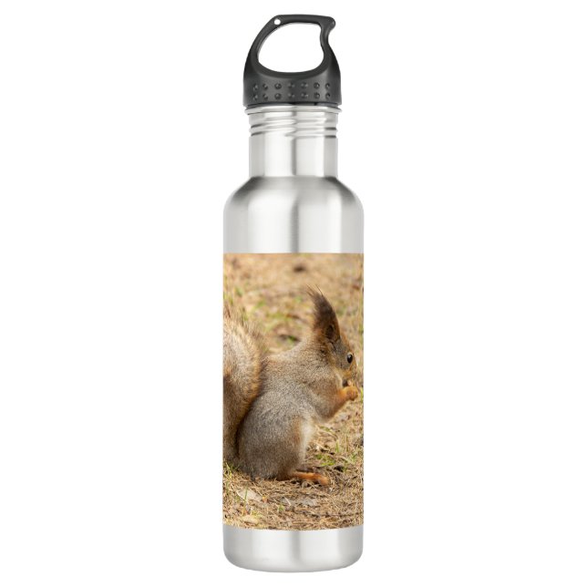Cute squirrel eats a nut photo stainless steel water bottle (Front)