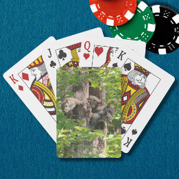Cute Squirrel Family in Spring Nature Photography Poker Cards