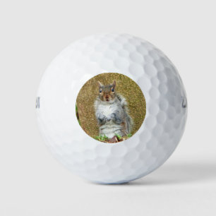 Cute Squirrel Golf Balls
