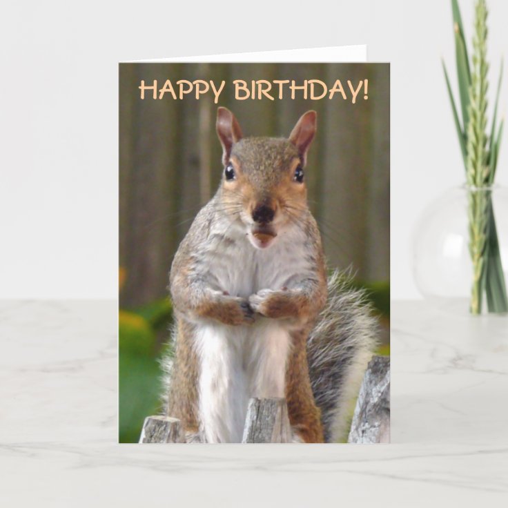 Cute Squirrel Happy Birthday Card | Zazzle