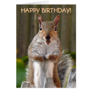 Squirrel Birthday Gifts on Zazzle