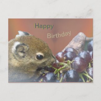 Cute Squirrel Happy Birthday Postcard
