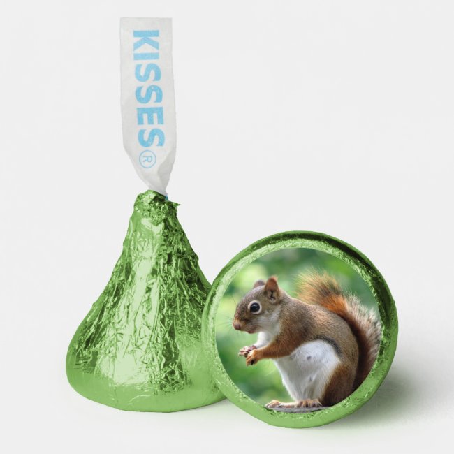 Cute Squirrel Hershey®'s Kisses®