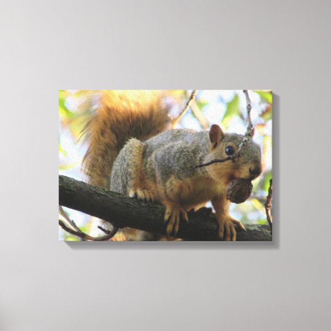 Cute Squirrel Holding a Nut Photography Canvas Art (Front)