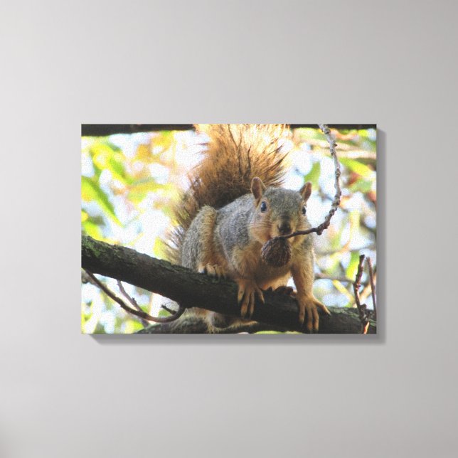 Cute Squirrel Holding a Nut Photography Canvas Art (Front)
