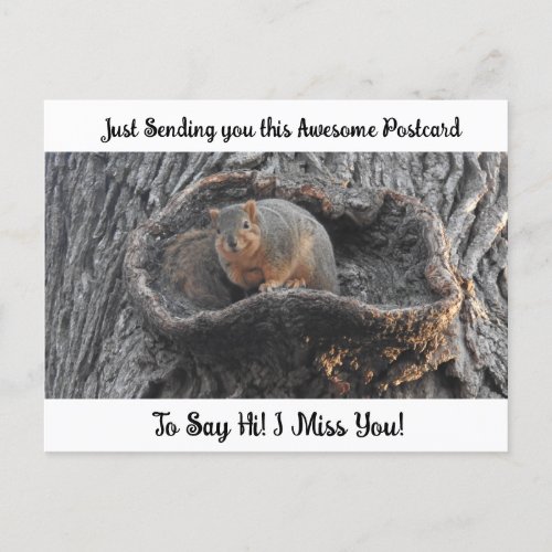 Cute Squirrel I Miss YOU Saying Hi Post Card