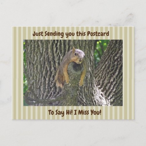 Cute Squirrel I Miss YOU Saying Hi Postcard