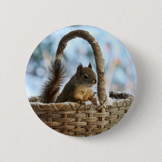 Cute Squirrel in a Basket in Winter Pinback Button (Front)