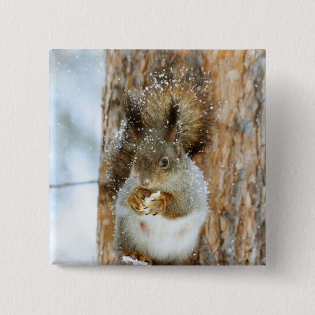 Cute Squirrel in a Winter Landscape Button (Front)