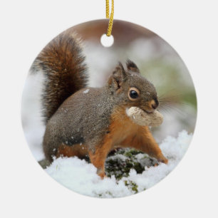 Cute Squirrel in Snow with Peanut Ceramic Ornament