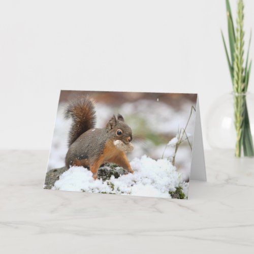 Cute Squirrel in Snow with Peanut Holiday Card