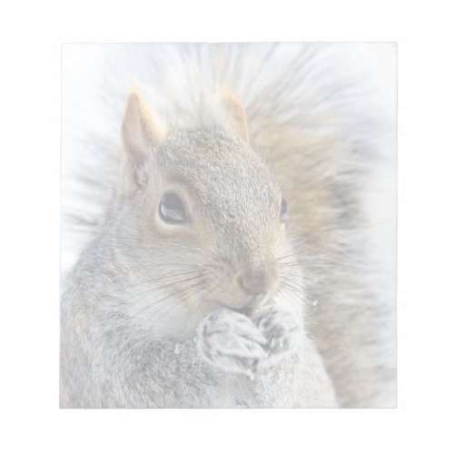 Cute Squirrel in Winter Notepad