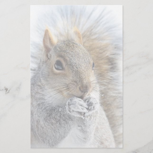 Cute Squirrel in Winter Stationery (Front)