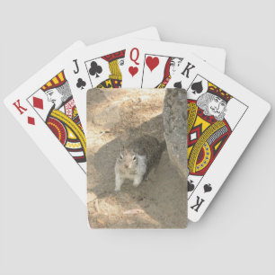 Cute Squirrel in Yosemite, California Poker Cards