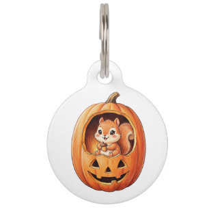 Cute Squirrel inside Halloween Pumpkin Jack o Lant Pet ID Tag