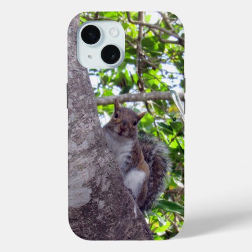 Cute Squirrel _ iPhone  iPad case