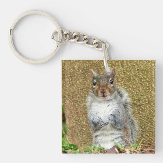Cute Squirrel Keychain (Front)