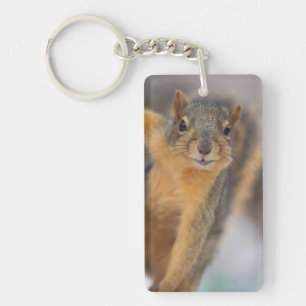 Cute Squirrel Keychain