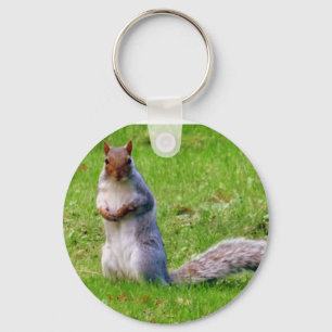 Cute Squirrel Keychain