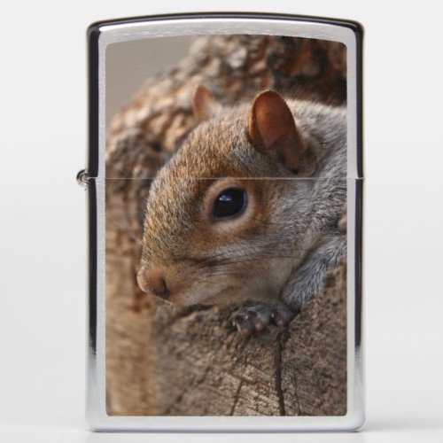 Cute squirrel looks out of her hole zippo lighter