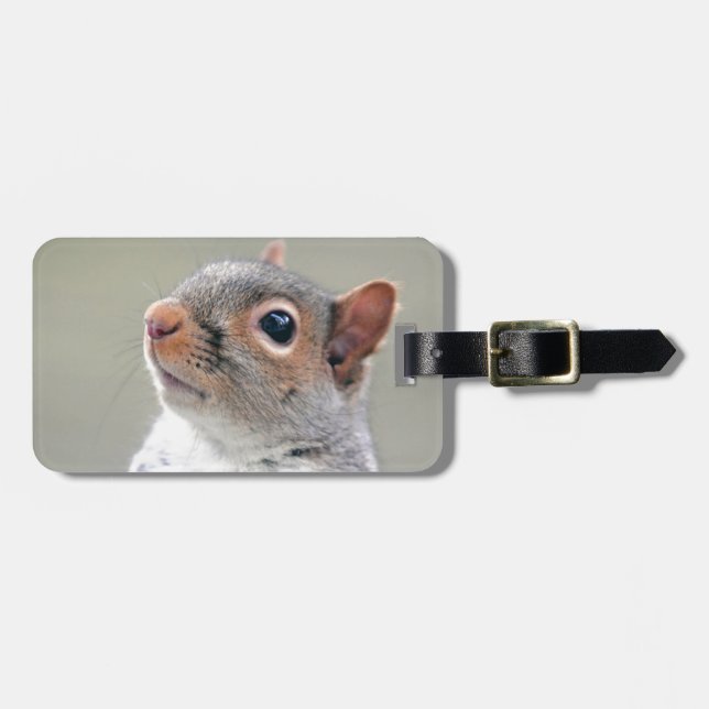 Cute Squirrel Luggage Tag (Front Horizontal)
