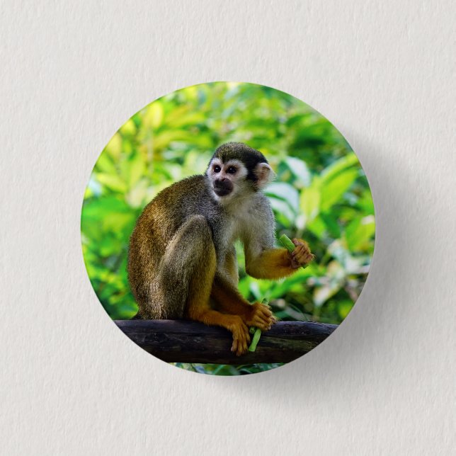 Cute squirrel monkey pinback button (Front)