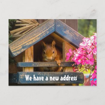 Cute Squirrel New Home Address Just Moved Announcement Postcard by adams_apple at Zazzle