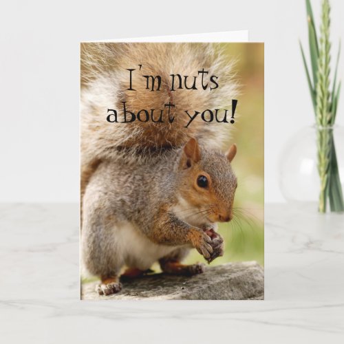 Cute Squirrel Nuts About You Card