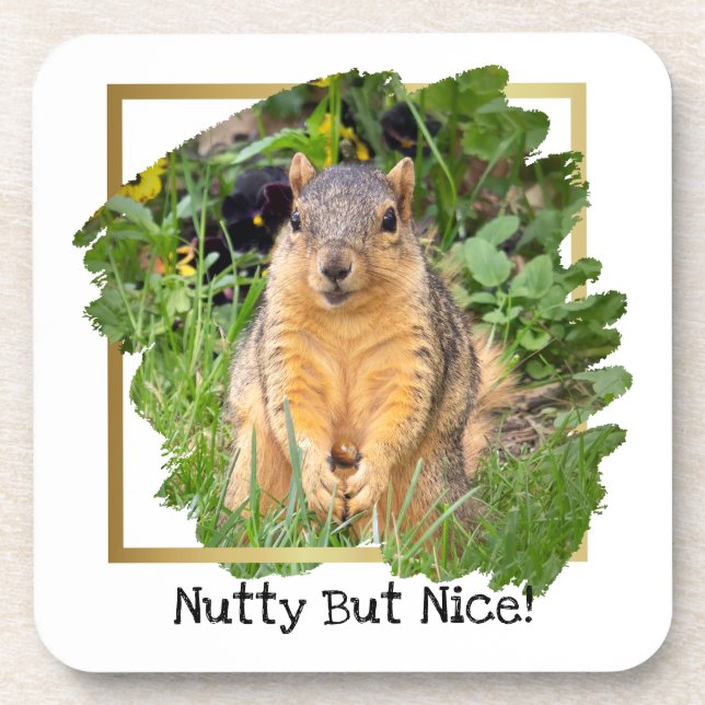 Cute Squirrel Nutty But Nice Beverage Coaster (Front)