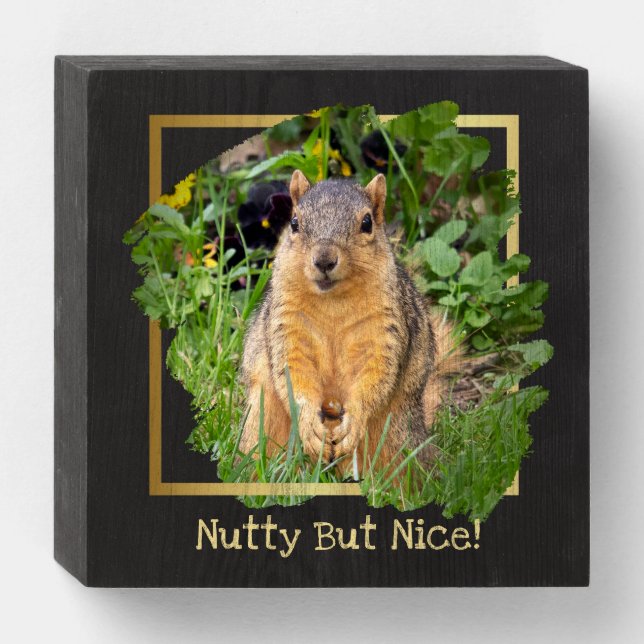 Cute Squirrel Nutty But Nice Wooden Box Sign (Front Horizontal)