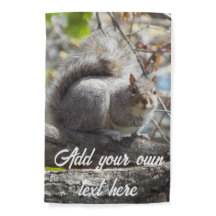 Cute Squirrel on a Branch