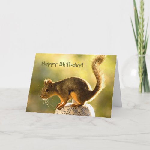 Cute Squirrel on a Cookie Jar Card