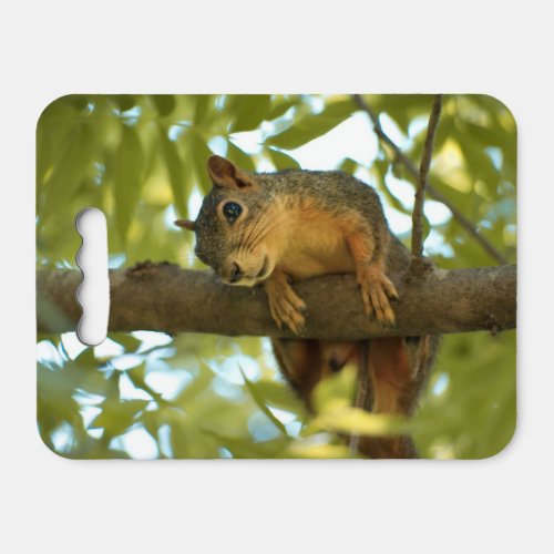 Cute Squirrel On Branch Seat Cushion