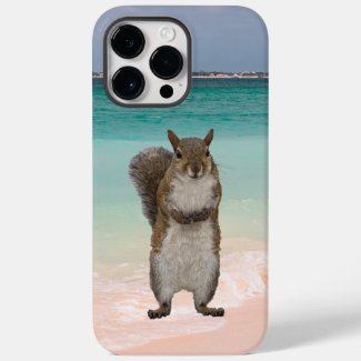 Cute Squirrel on Caribbean beach scene