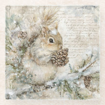 Cute squirrel on the pine branch