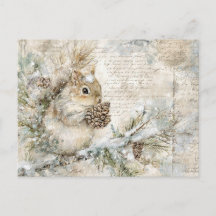 Cute squirrel on the pine branch