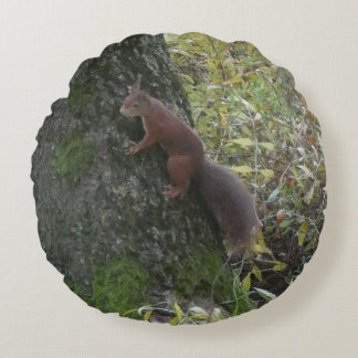 Cute Squirrel on Tree Trunk Round Pillow