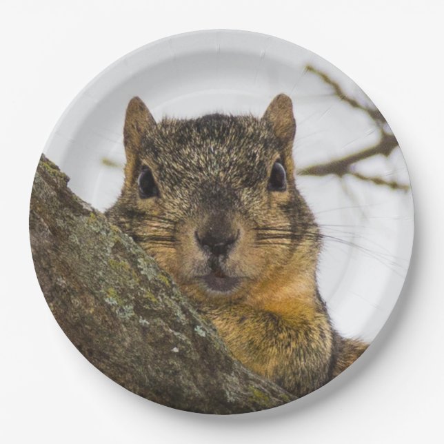 Cute Squirrel Paper Plates (Front)